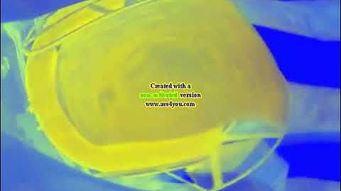 Preview 2f bell effects reversed