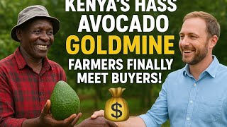 Kenya’s Hass Avocado Goldmine 💰 | Farmer Meets Buyer!