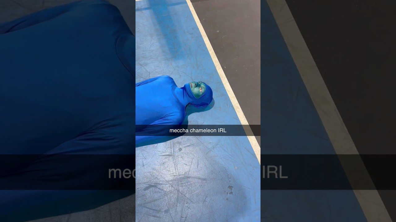meccha chameleon irl