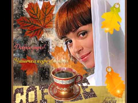Курятник зимний на 10 кур своими руками чертежи фото от а до я