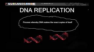DNA GRADE 12 PART 2 [ ISIZULU ] | DNA REPLICATION