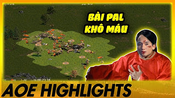 Palmyran của Mạnh Hào khô máu vì anh em! | AoE Highlights