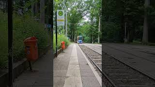 Duewag 6Ngtwe Nr.676 Rsag Linie 3 Hst. Dr.-Lorenz-Weg 1649 02.07.24