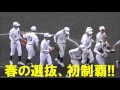 ソフトボール 第34回全国高校男子選抜大会／静岡県富士宮市