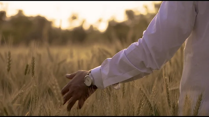 Pasha Fabrics - Silver Storm - Teaser 2