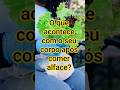O que acontece com o seu corpo após comer alface?