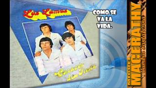 Video thumbnail of "LOS LAMAS - Como se va la vida."