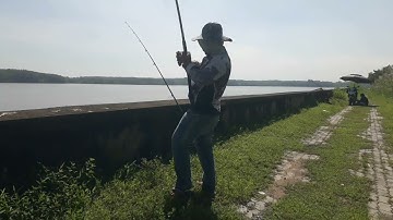 Một ngày nắng quá xá , cá vẫn dính lai rai#câu cá cần giờ