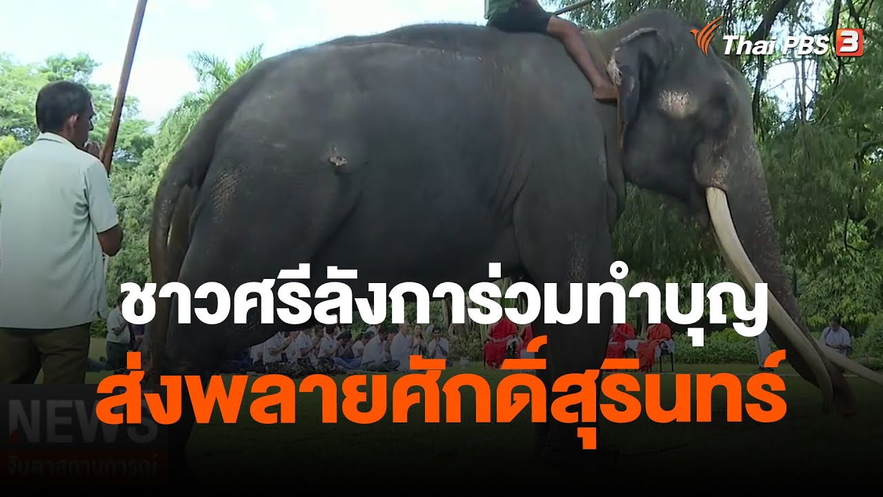 ชาวศรีลังการ่วมทำบุญส่งพลายศักดิ์สุรินทร์ | จับตาสถานการณ์ | 30 มิ.ย. 66