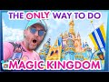 I go to disney world every day and this is the only way ill do magic kingdom