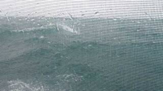 The perfect storm part 2
