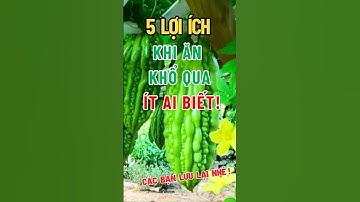 5 Lợi Ích Khi Ăn Khổ Qua Ít Ai Biết! #chamsocsuckhoe #sứckhỏe #lamdep #khổqua
