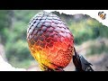 Game of FOAMS  - DIY Dragon Egg made EASY! + FREE Blueprints