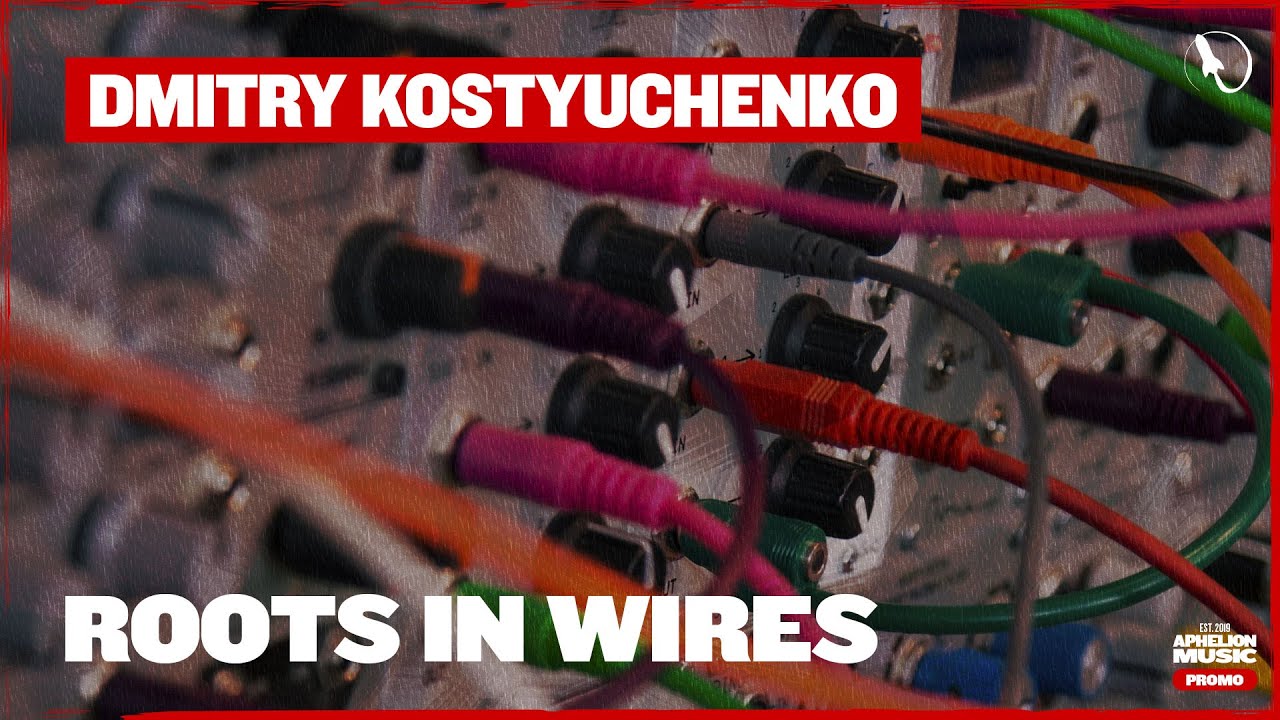 Dmitry Kostyuchenko - Roots In Wires (Extended Mix) - YouTube
