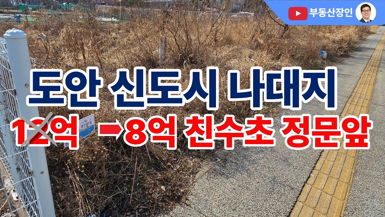 27년 개교 초등학교 앞 85평 나대지, 낙찰 받아 볼까? #대전경매 #경매정보 #토지경매 #대전부동산 #대전부동산매매 #대전부동산매물 #유성구부동산 #대전다가구 #대전토지