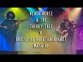 KT Tunstall - Black Horse & the Cherry Tree LIVE! At the Barras!