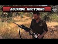 AGUARDO NOCTURNO #2 | EULALIO CANTERO