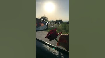 |سورة النبأ🖤🌹🥀|الشيخ رعد محمد الكردي | آيات-٣٧|رَّبِّ ٱلسَّمَـٰوَ ٰتِ وَٱلۡأَرۡضِ🥀🌹🖤..|#جميل#القران