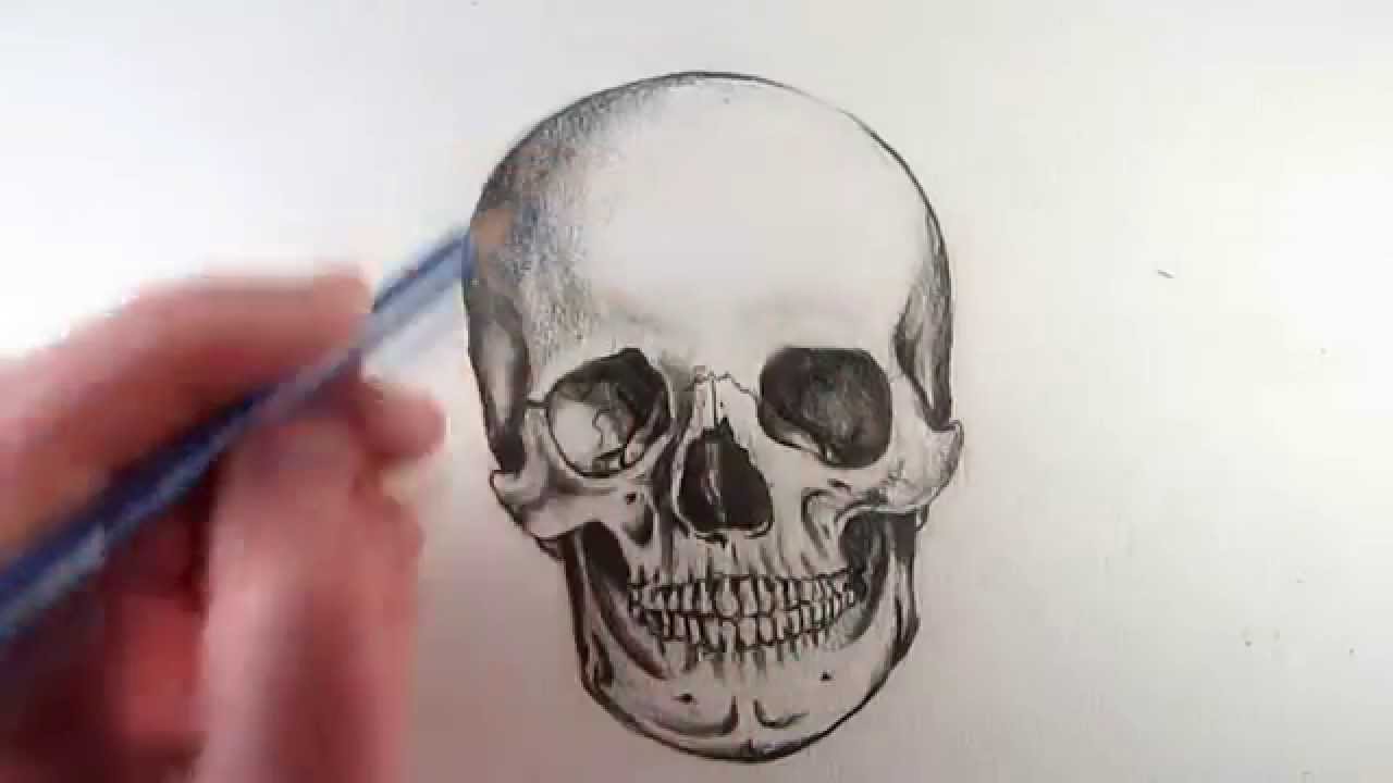 How to Draw a Realistic Skull: Narrated Step by Step - YouTube