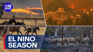 Australia on watch for El Niño as ocean temperatures rise | 9 News Australia