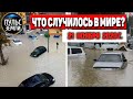 Катаклизмы за день 21 ноября 2020 ! Пульс Земли ! в мире ! событие дня! #tormenta ‏נס ציונה‏‎