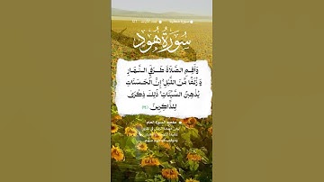 📚 سورة هود 🌳 الآية 114  #اكسبلور #المصحف #تيك_توك