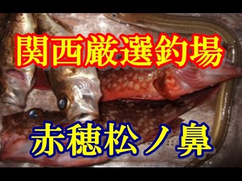釣り場情報 関西の海釣り 赤穂松ノ鼻 ファミリーフィッシングに最適 サビキでアジ イワシ サヨリ チョイ投げでカレイ キスが狙える Youtube