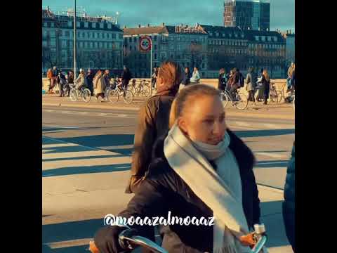حمزه مالك مش باين ليه حلات واتس اغاني دعم لايك
