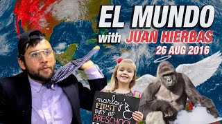back2school for the mocosos harambe 4 ever is the election over yet elmundo juanhierbas