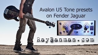 fender jaguar bass through avalon u5
