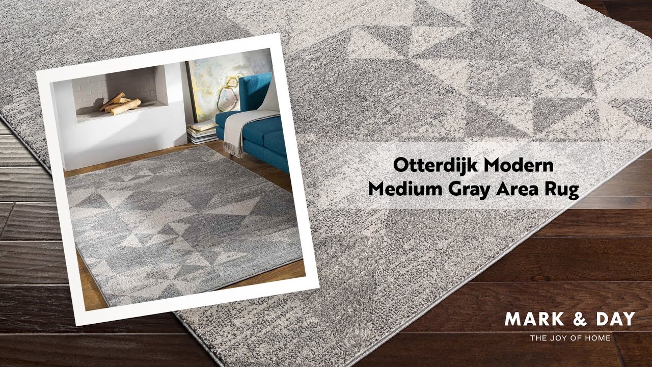 Otterdijk Modern Medium Gray Area Rug