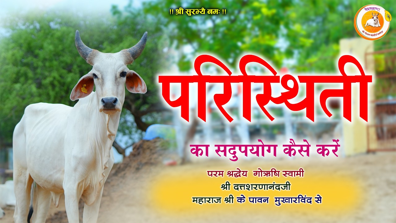 परिस्थिति का सदुपयोग कैसे करें? | कठिन समय में क्या करें? | स्वामी दत्तशरणानंद जी महाराज