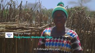 Igunga Ecovillage Project - Breeding Chickens And Ping On The Gift