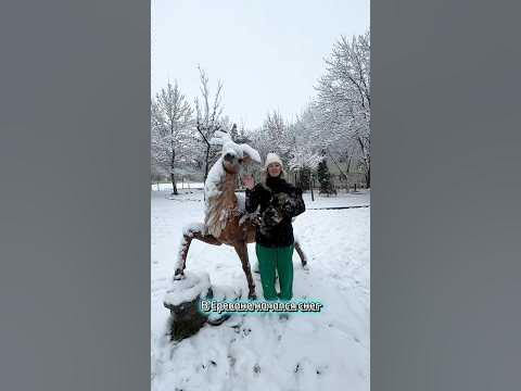 Зима в Ереване #армения #ереван #armenia #yerevan - YouTube