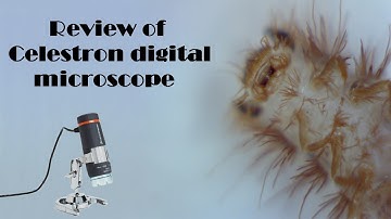 Review of Celestron Digital USB Computer microscope