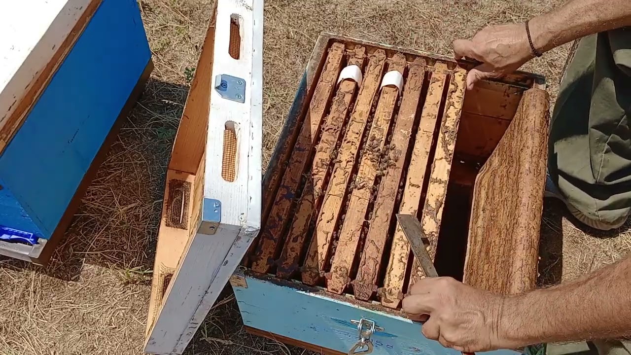 Από το βουνό στον κάμπο