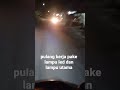 pulang