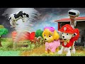 Tornado assusta os animais da fazenda! História infantil com super heróis Paw Patrol