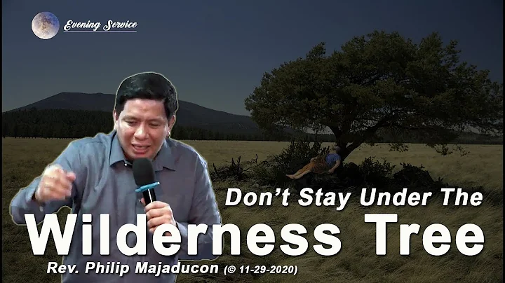 Don't Stay Under The Wilderness Tree | Ptr.  Philip Majaducon
