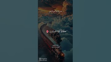سورة القصص للشيخ ياسر الدوسري قرآن كريم حالات واتساب #اكسبلور #شورتس #shortvideo
