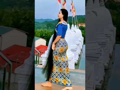 Beautiful Girls Longhair 