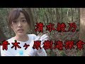 【青木ヶ原樹海】樹海の奥まで探索してみた【富士山】【探索】【清水綾乃】