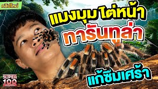 ทารันทูล่าไต่หน้า !! #โจเซฟ สัตว์แปลกแก้ซึมเศร้า | SUPER100