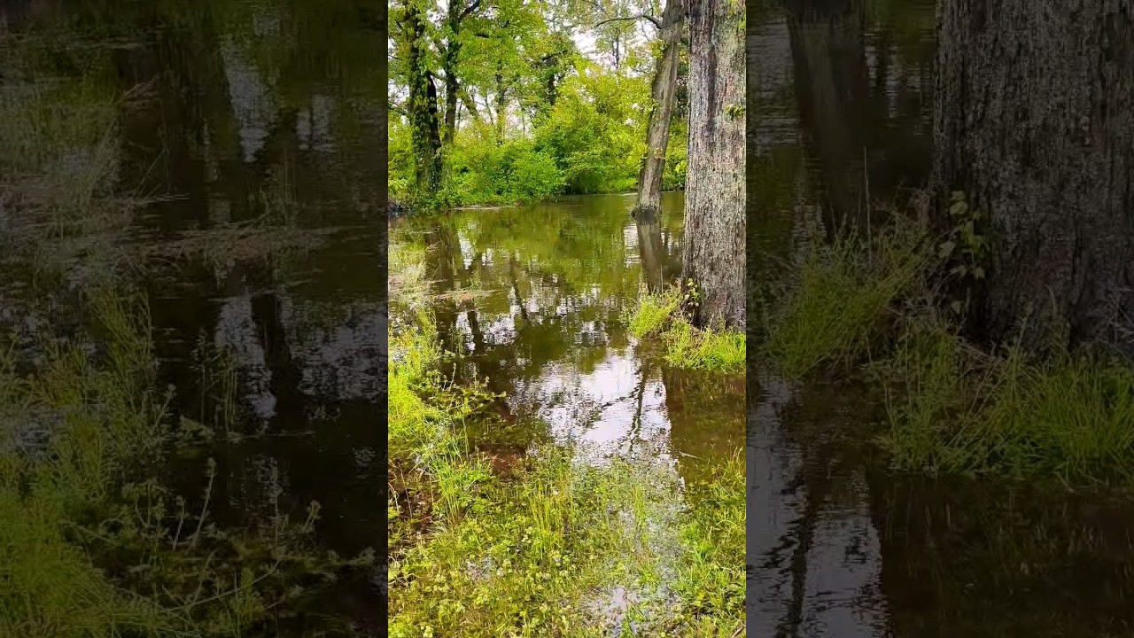 Calm Creek 🌟 Flooded And UNDERWATER 😱