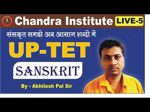 TET LIVE 5 - TET LIVE 5