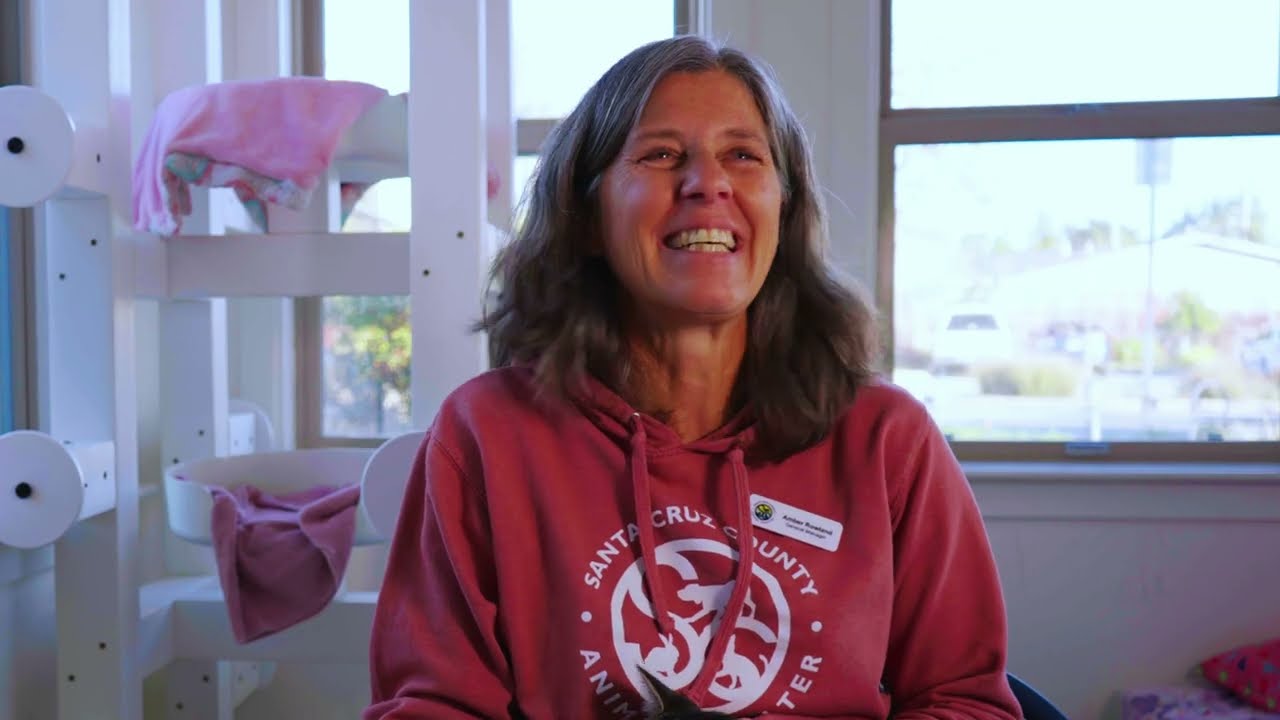 Bissell Pet Foundation's Empty the Shelters - SCCAS