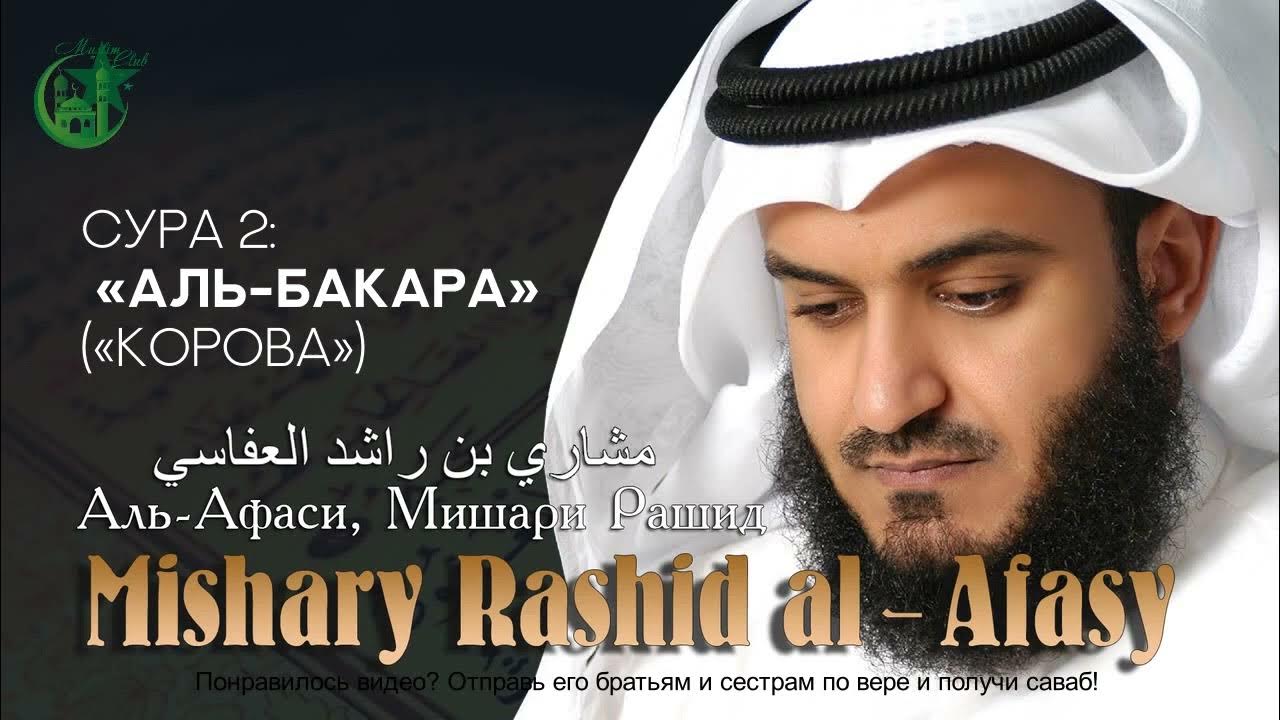 аль бакара слушать полностью мишари