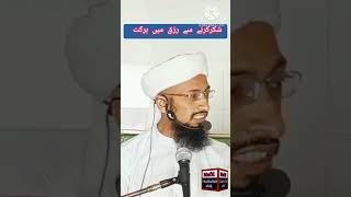 رزق حلال میں برکت ۔مفتی عبیداللہ عابد Mufti ubaidullah abid