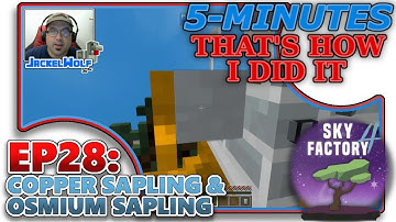 [SKYFACTORY 4] EP28 - COPPER SAPLING & OSMIUM SAPLING