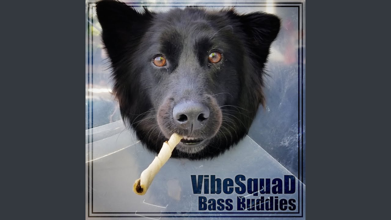 Παρακολούθηση MudSkipper στο YouTube Παρακολούθηση MudSkipper στο YouTube